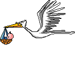 Find out when the stork cometh!